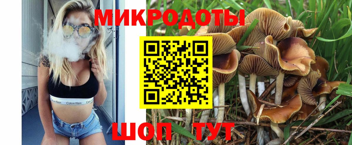 Псилоцибиновые грибы Psilocybe  Вход с VPN  даркнет сайт  Кулебаки 