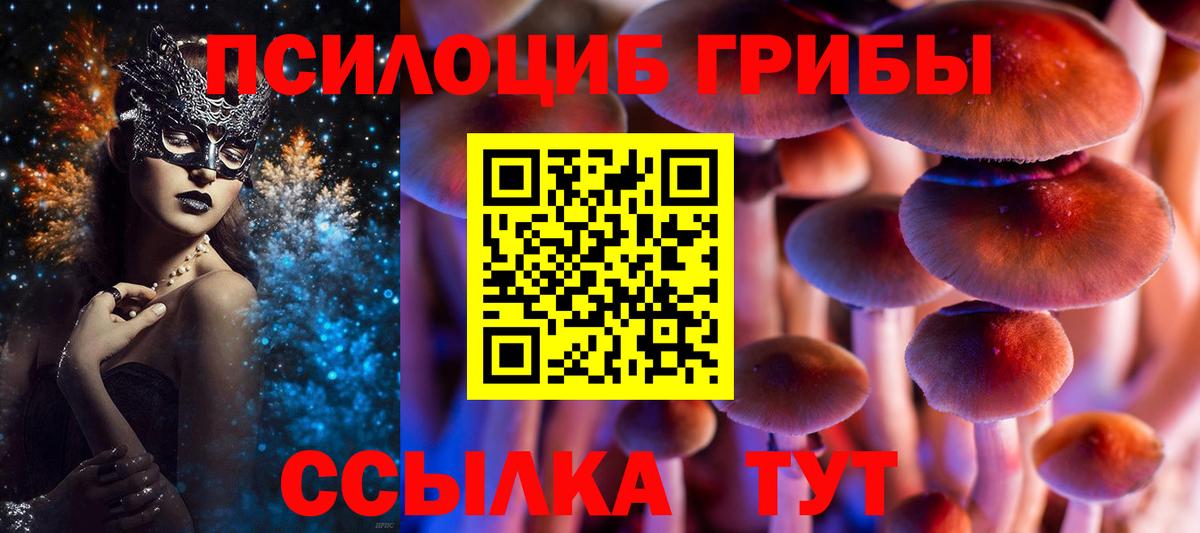 Галлюциногенные грибы Psilocybe Кулебаки